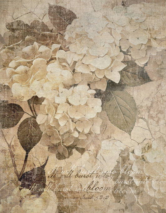 Vinatage earthy floral design with hydrangeas on a textured beige background with positive words softly scripted onto the print