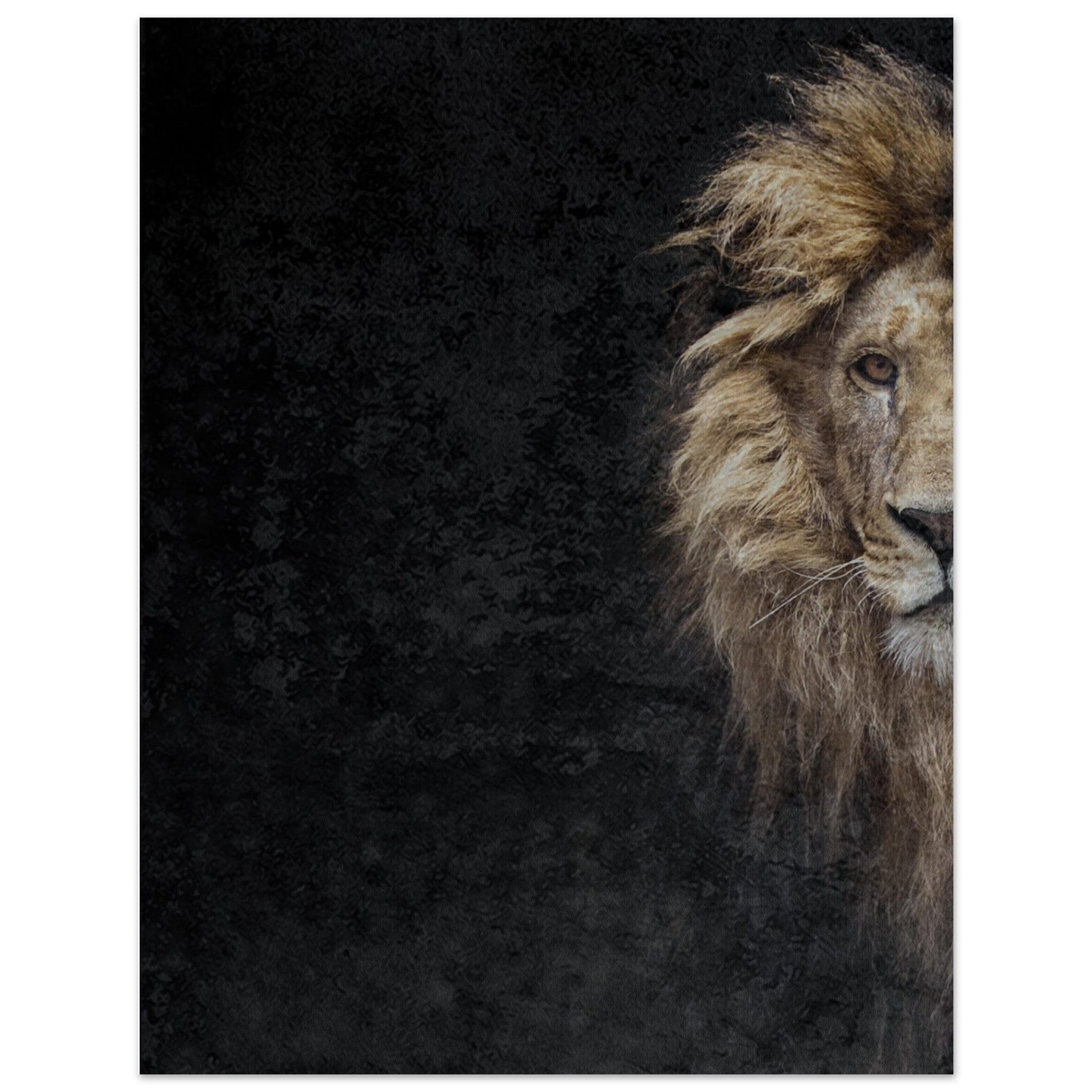 MiCoo Art & Decor- Artwork - Poster 27x35 cm / 11x14″ THE LION OF JUDAH - Poster