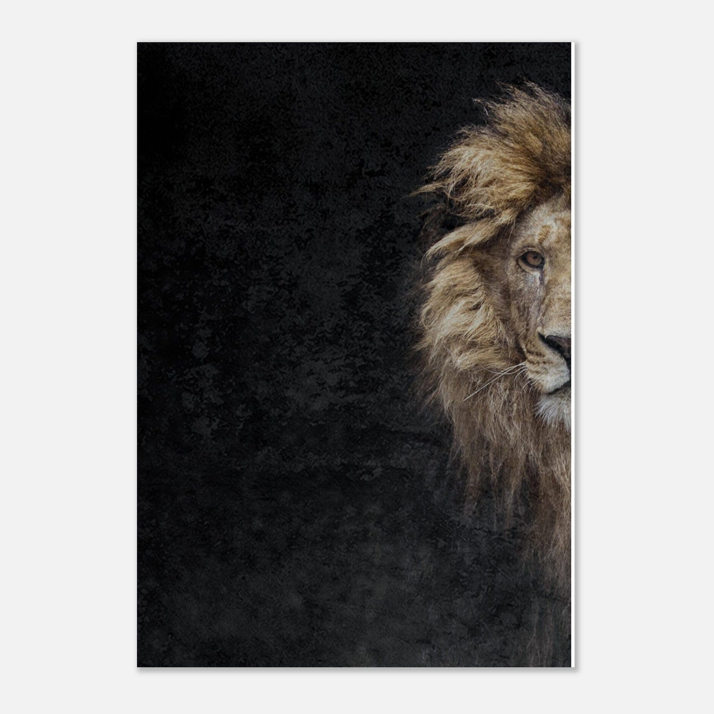 MiCoo Art & Decor- Artwork - Poster THE LION OF JUDAH - Poster