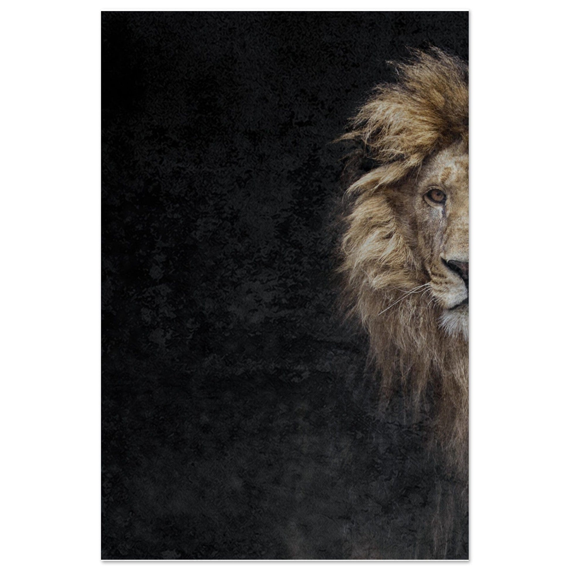 MiCoo Art & Decor- Artwork - Poster 60x90 cm / 24x36″ THE LION OF JUDAH - Poster