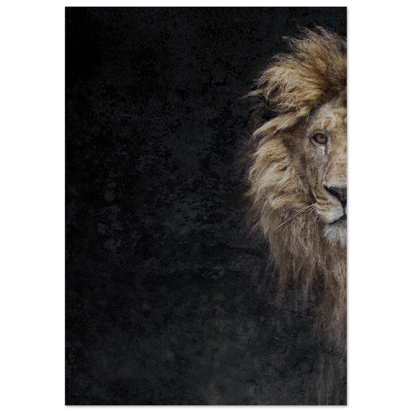 MiCoo Art & Decor- Artwork - Poster A3 (29.7 x 42  cm) THE LION OF JUDAH - Poster