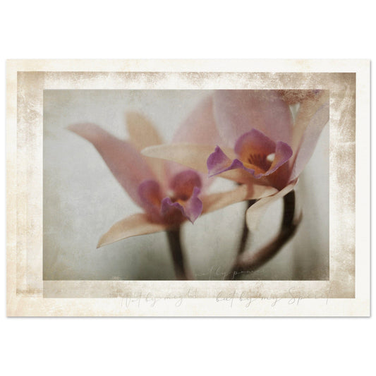 MiCoo Art & Decor Posters, Prints and Visual Artworks A2 (42 x 59.4 cm) AT REST - Floral - Fine Art Print