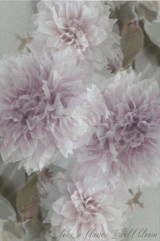 MiCoo Art & Decor Posters, Prints and Visual Artworks BLOOM - Floral - Fine Art Framed Print