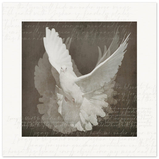 Micoo Art & Decor Posters, Prints and Visual Artworks 70x70 cm / 28x28″ DOVE OF PEACE - Abstract - Fine Art Print