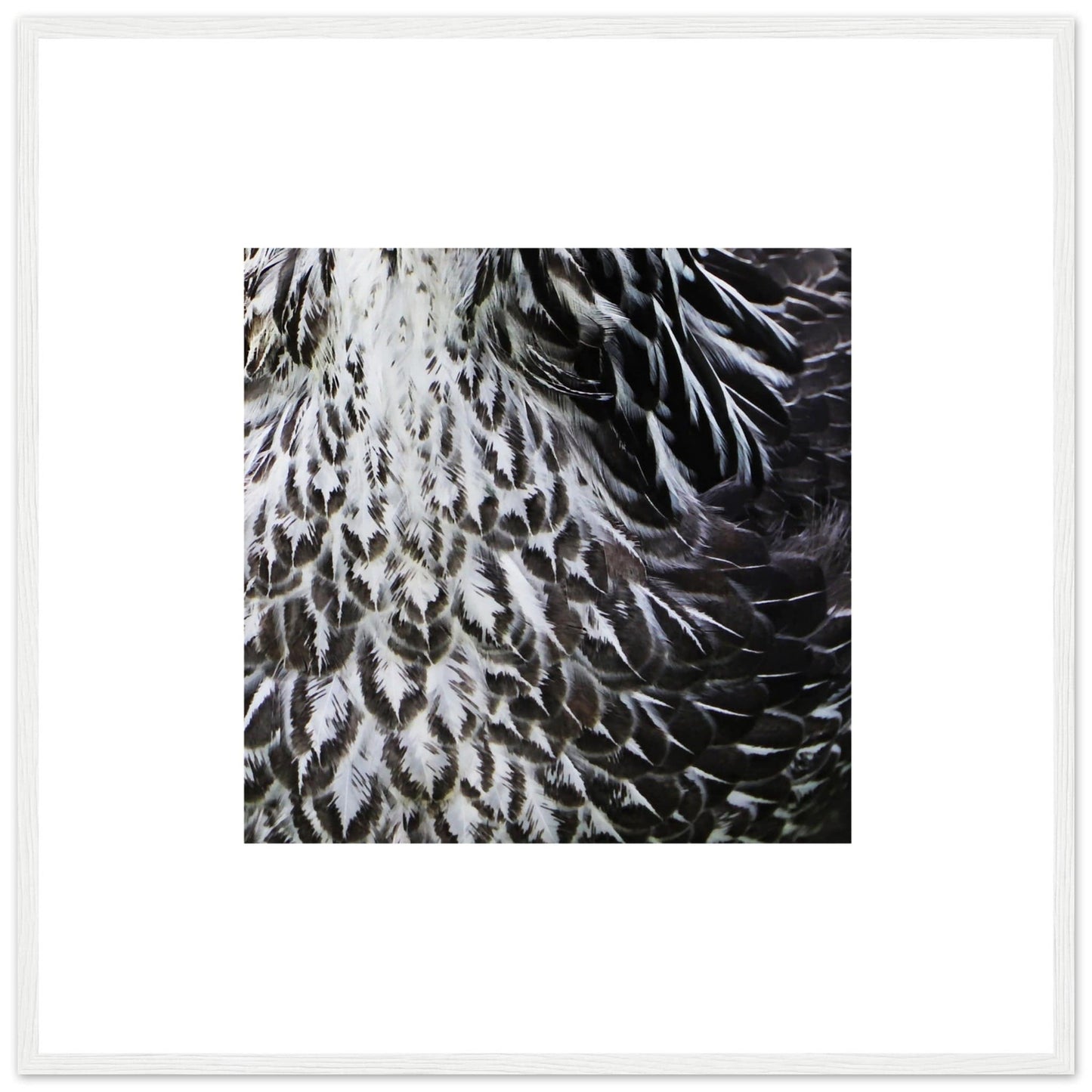 MiCoo Art & Decor Posters, Prints and Visual Artworks EACH FEATHER - Monochrome - Framed Poster