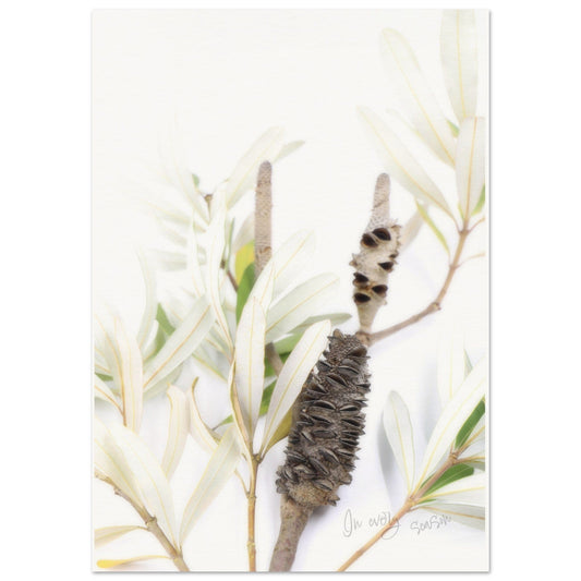 Micoo Art & Decor Posters, Prints and Visual Artworks A1 (59.4 x 84.1  cm) EVERY SEASON - Floral - Fine Art Print