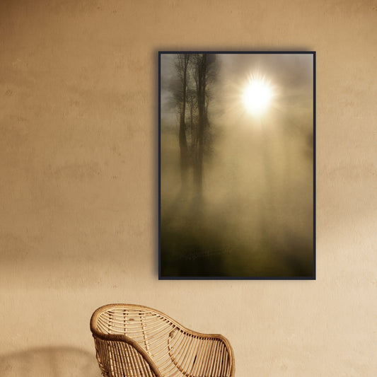 Abstract muted  Landscape of sun shining through tree outlines.