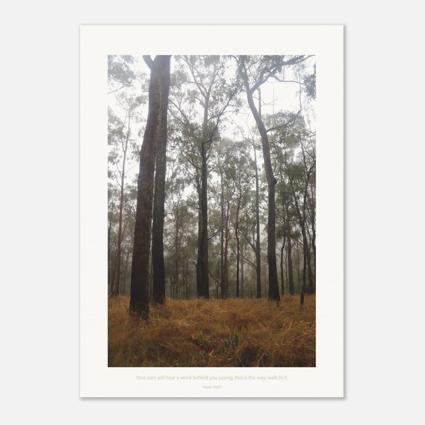 Micoo Art & Decor Posters, Prints and Visual Artworks IN THE SILENCE - Landscape - Fine Art Print