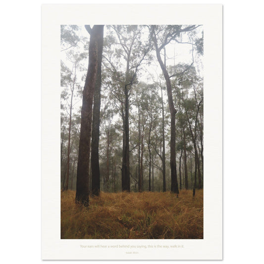 Micoo Art & Decor Posters, Prints and Visual Artworks A0 (84.1 x 118.9 cm) IN THE SILENCE - Landscape - Fine Art Print