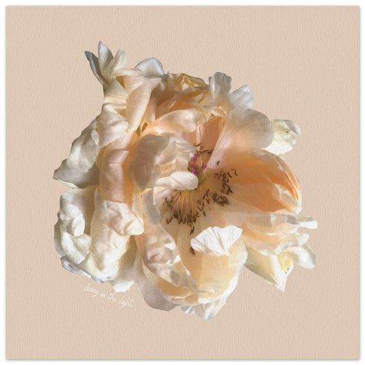 Rose poster focusing on natural textures and colours with the phrase 'Living in the Light' in soft natural tones