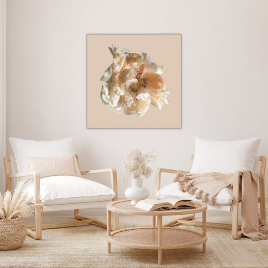 Rose poster focusing on natural textures and colours with the phrase 'Living in the Light' in soft natural tones