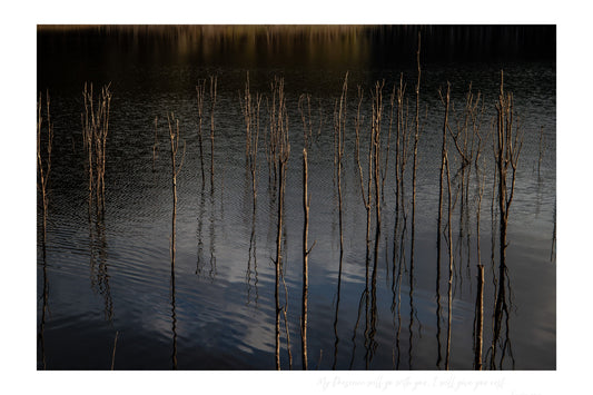 MiCoo Art & Decor Posters, Prints and Visual Artworks ONENESS - Landscape - Monochrome - Fine Art Framed Print