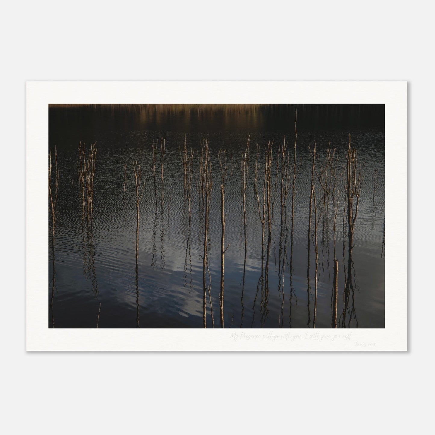 MiCoo Art & Decor Posters, Prints and Visual Artworks ONENESS - Landscape - Monochrome - Fine Art Print