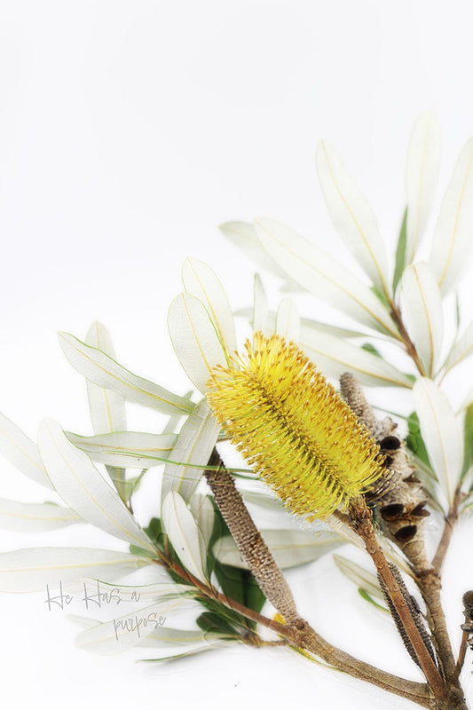 MiCoo Art & Decor Posters, Prints and Visual Artworks PURPOSE IN THE SEASON Collection - Floral - Fine Art Framed Prints