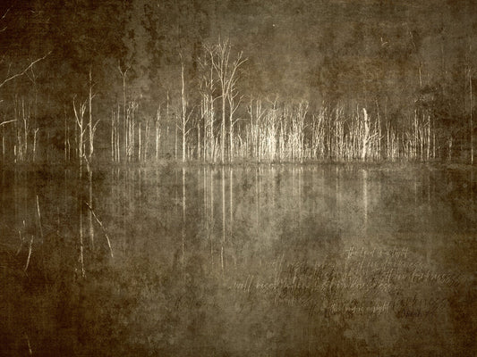 MiCoo Art & Decor Posters, Prints and Visual Artworks SOLITUDE - Abstract Landscape - Framed Canvas