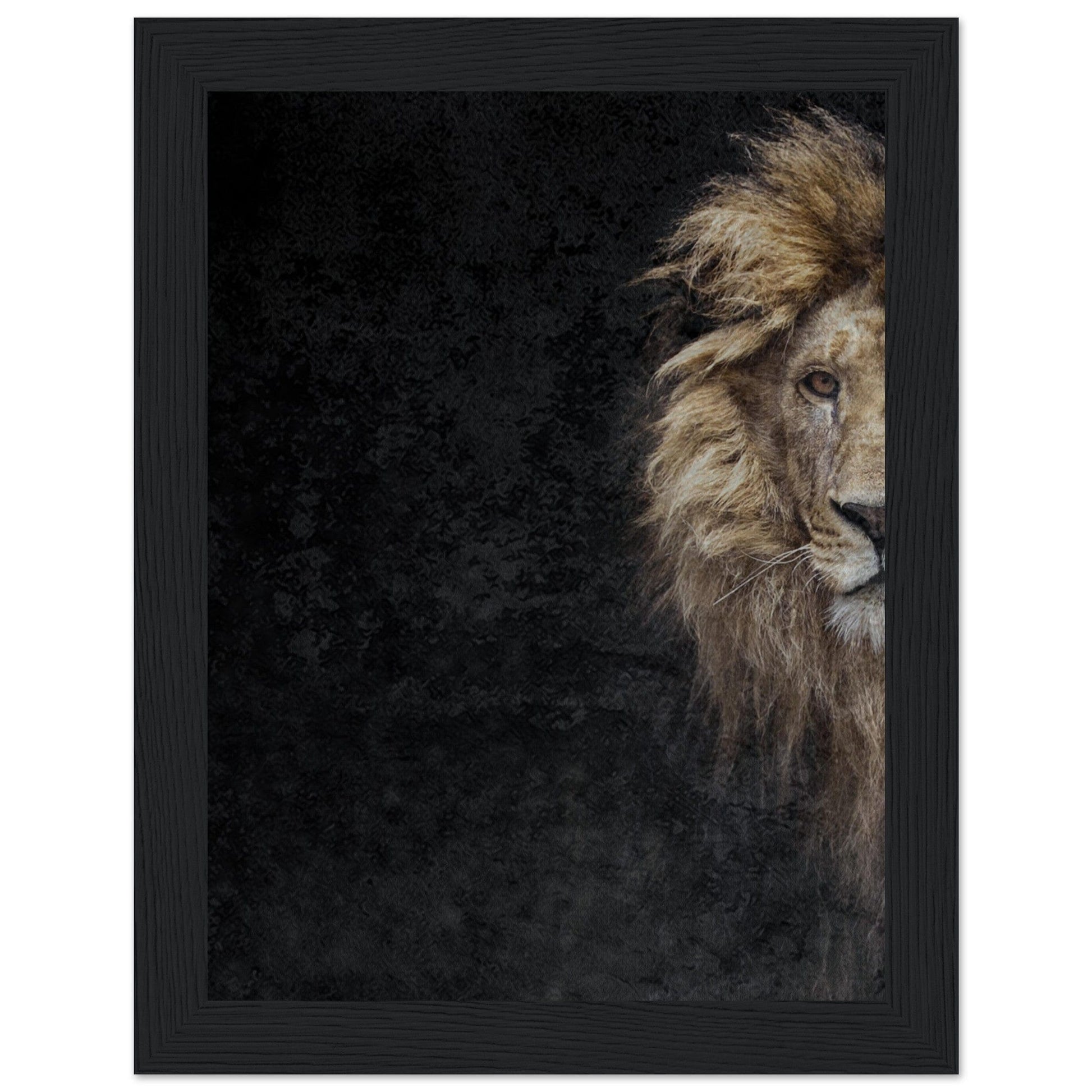 Micoo Art and Decor Posters, Prints and Visual Artworks 15x20 cm / 6x8″ / Black frame THE LION OF JUDAH - Framed Poster