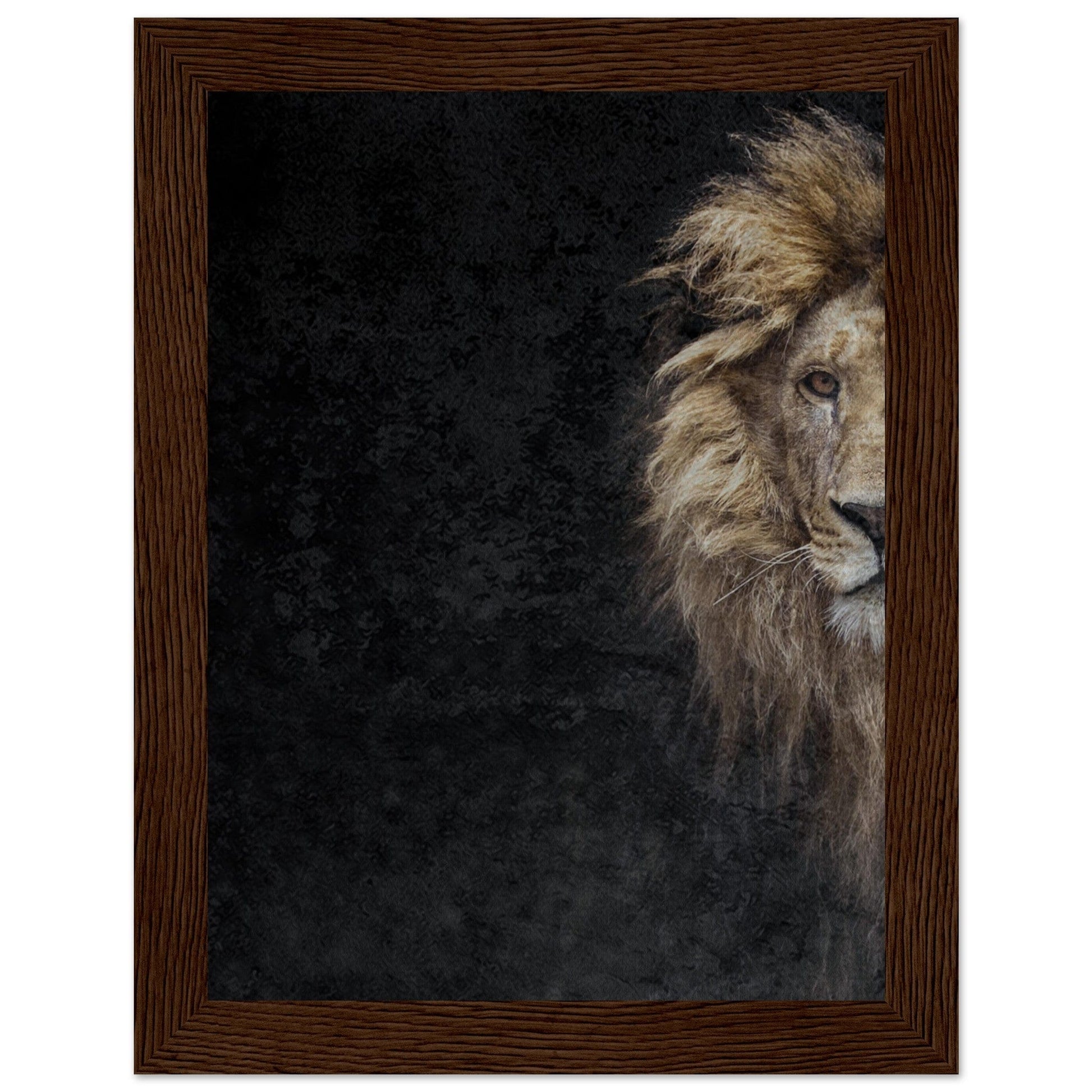 Micoo Art and Decor Posters, Prints and Visual Artworks 15x20 cm / 6x8″ / Dark wood frame THE LION OF JUDAH - Framed Poster