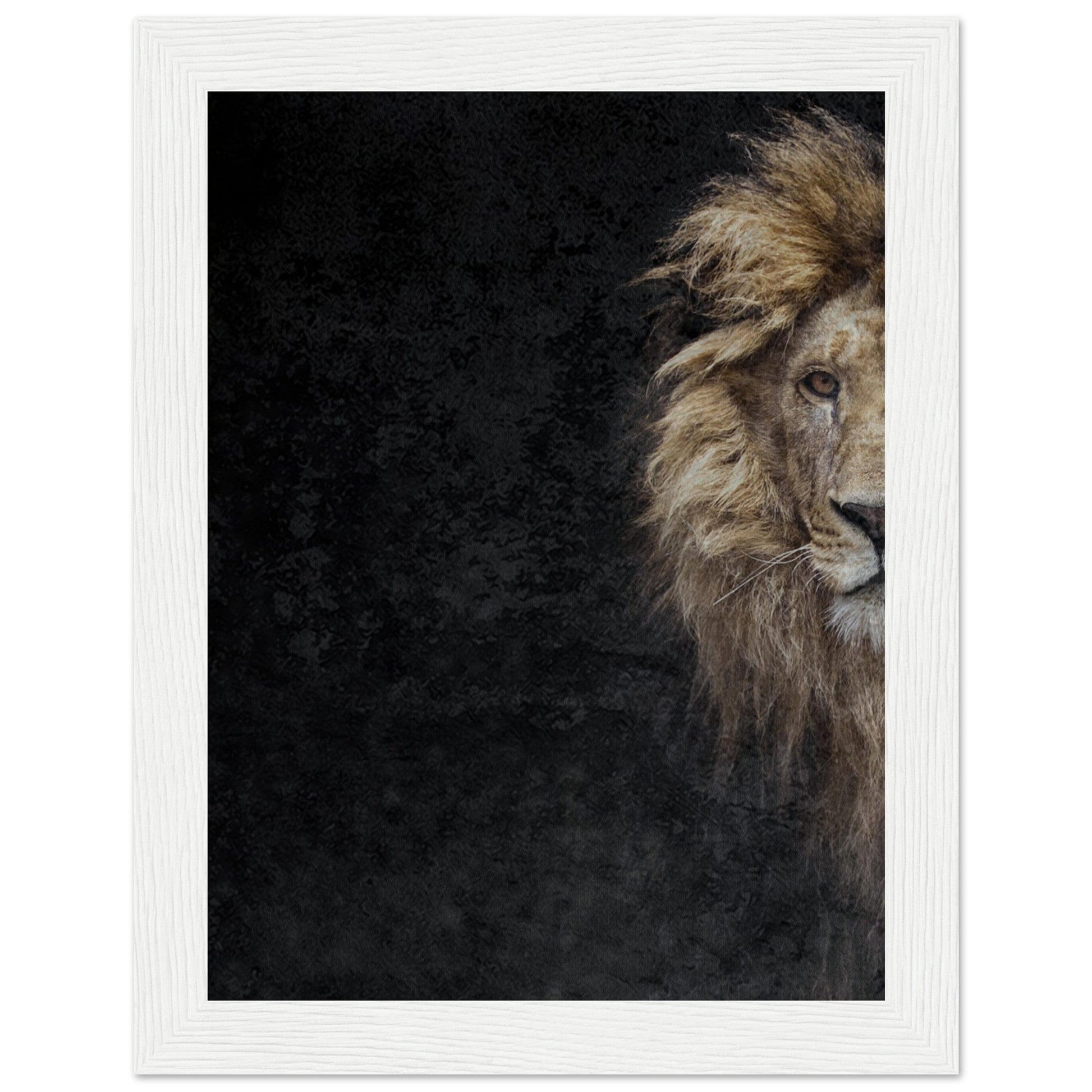 Micoo Art and Decor Posters, Prints and Visual Artworks 15x20 cm / 6x8″ / White frame THE LION OF JUDAH - Framed Poster