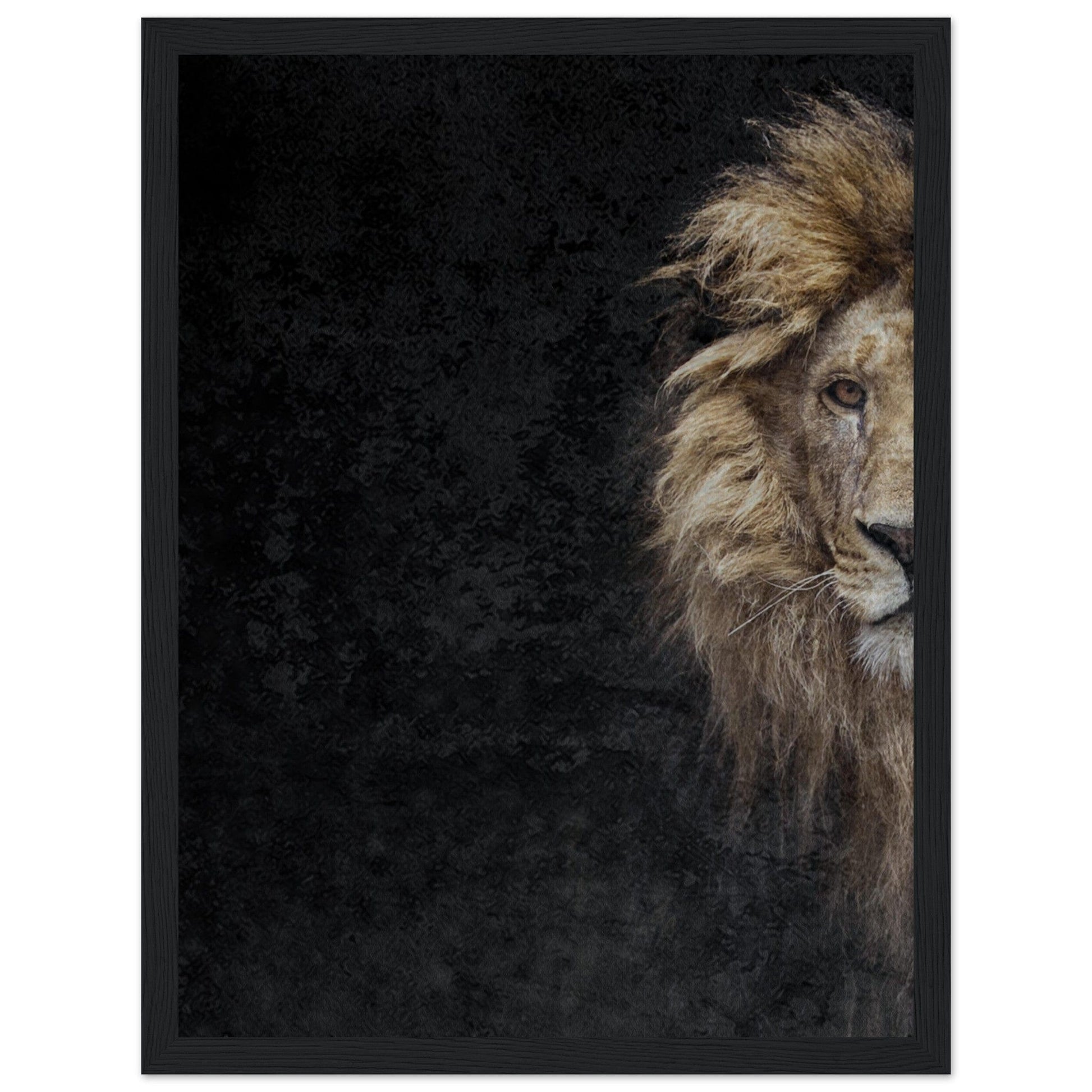Micoo Art and Decor Posters, Prints and Visual Artworks 30x40 cm / 12x16″ / Black frame THE LION OF JUDAH - Framed Poster