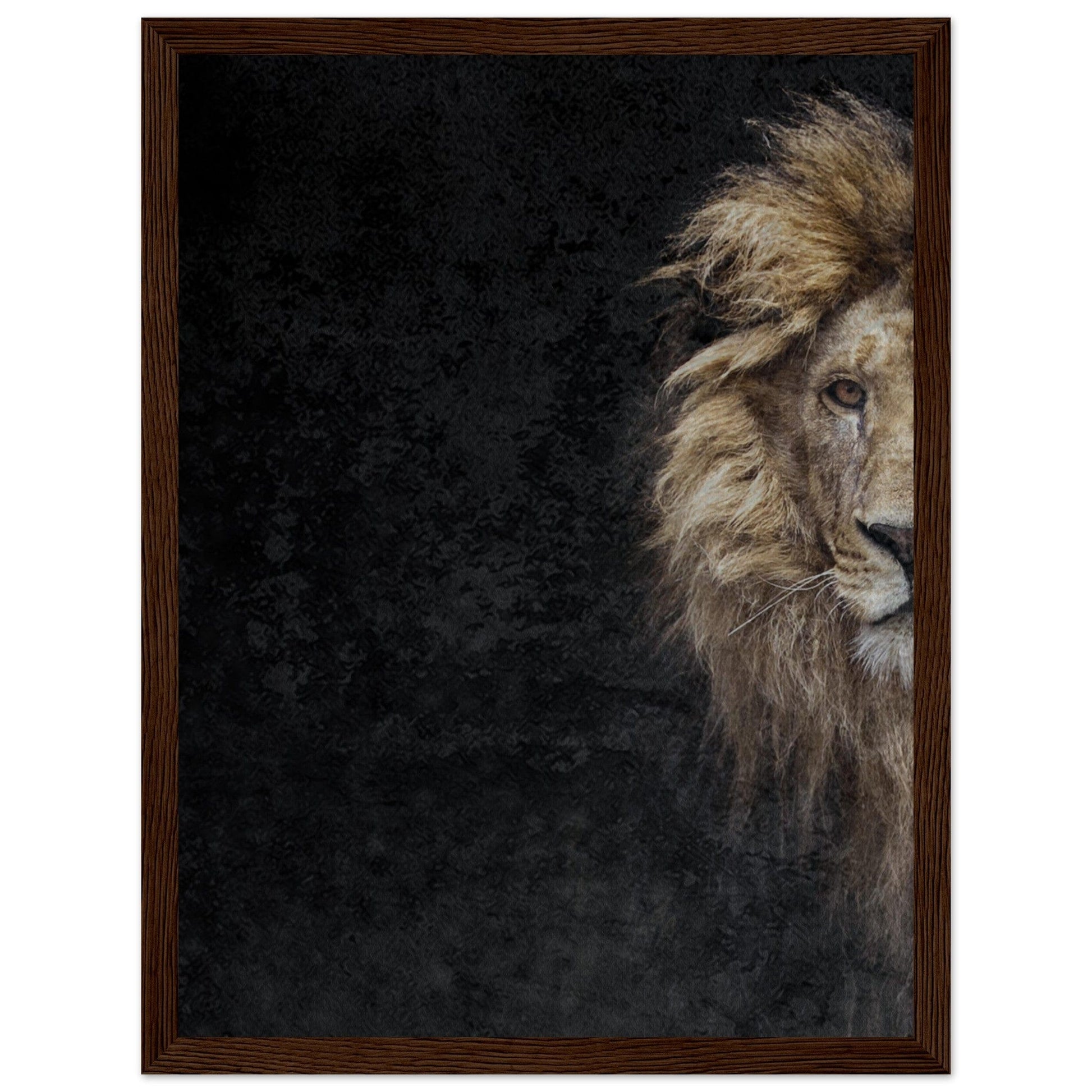 Micoo Art and Decor Posters, Prints and Visual Artworks 30x40 cm / 12x16″ / Dark wood frame THE LION OF JUDAH - Framed Poster