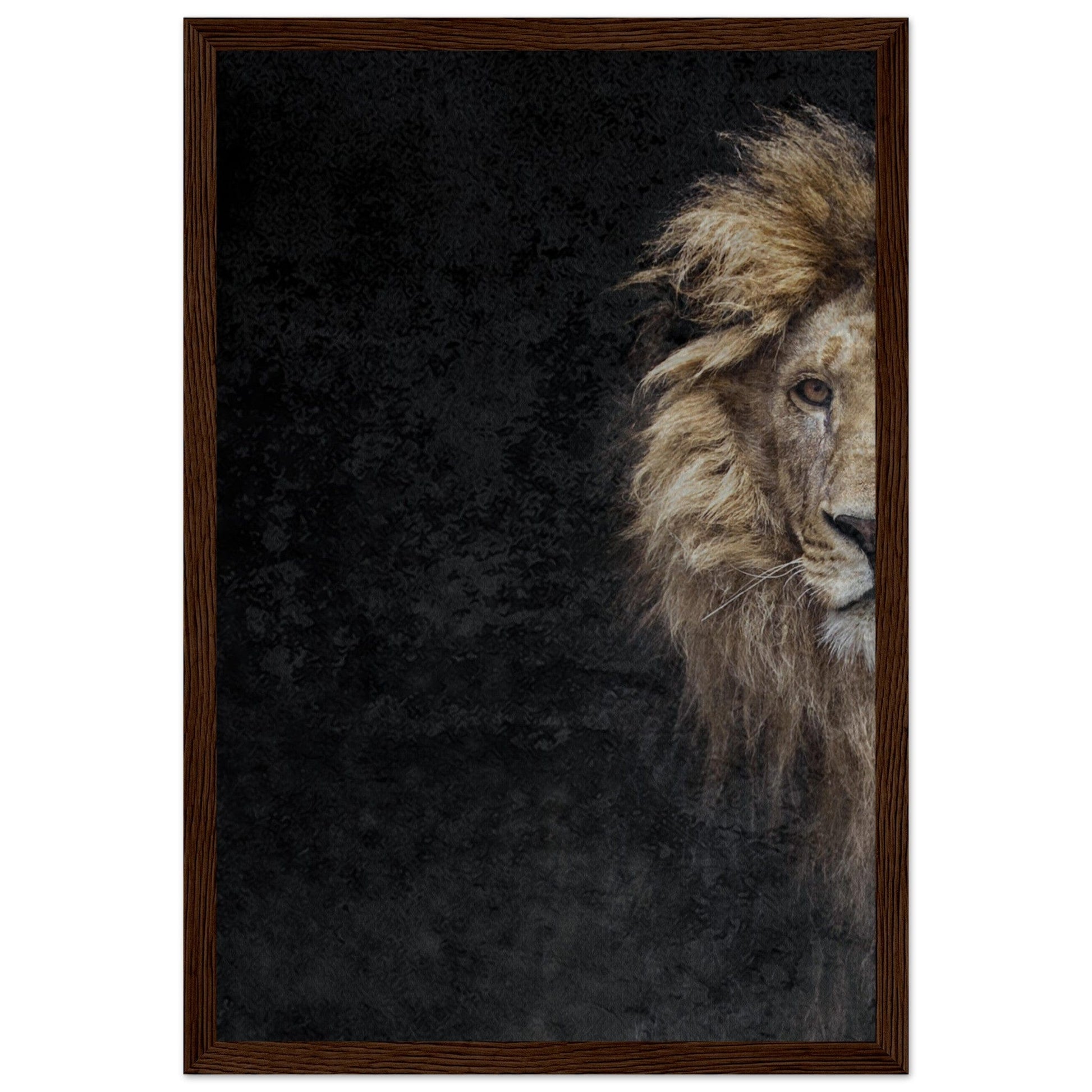 Micoo Art and Decor Posters, Prints and Visual Artworks 30x45 cm / 12x18″ / Dark wood frame THE LION OF JUDAH - Framed Poster