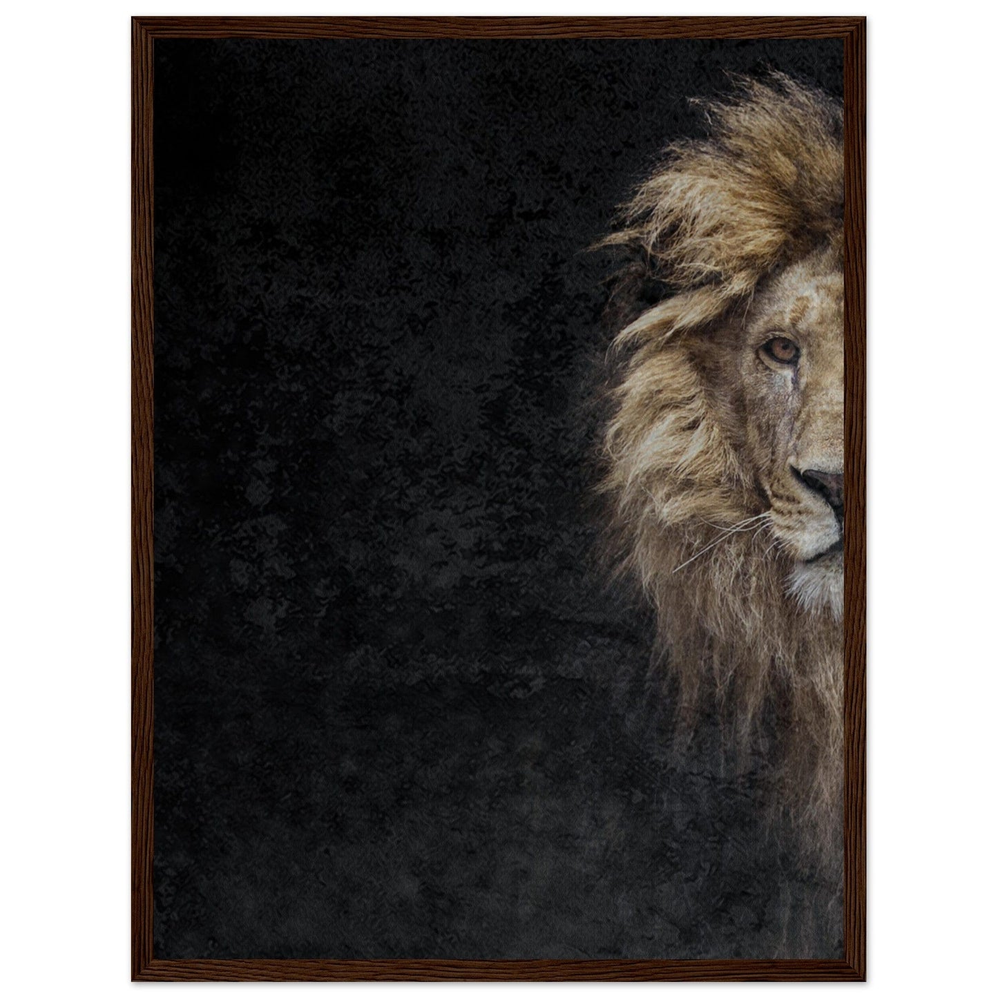 Micoo Art and Decor Posters, Prints and Visual Artworks 45x60 cm / 18x24″ / Dark wood frame THE LION OF JUDAH - Framed Poster
