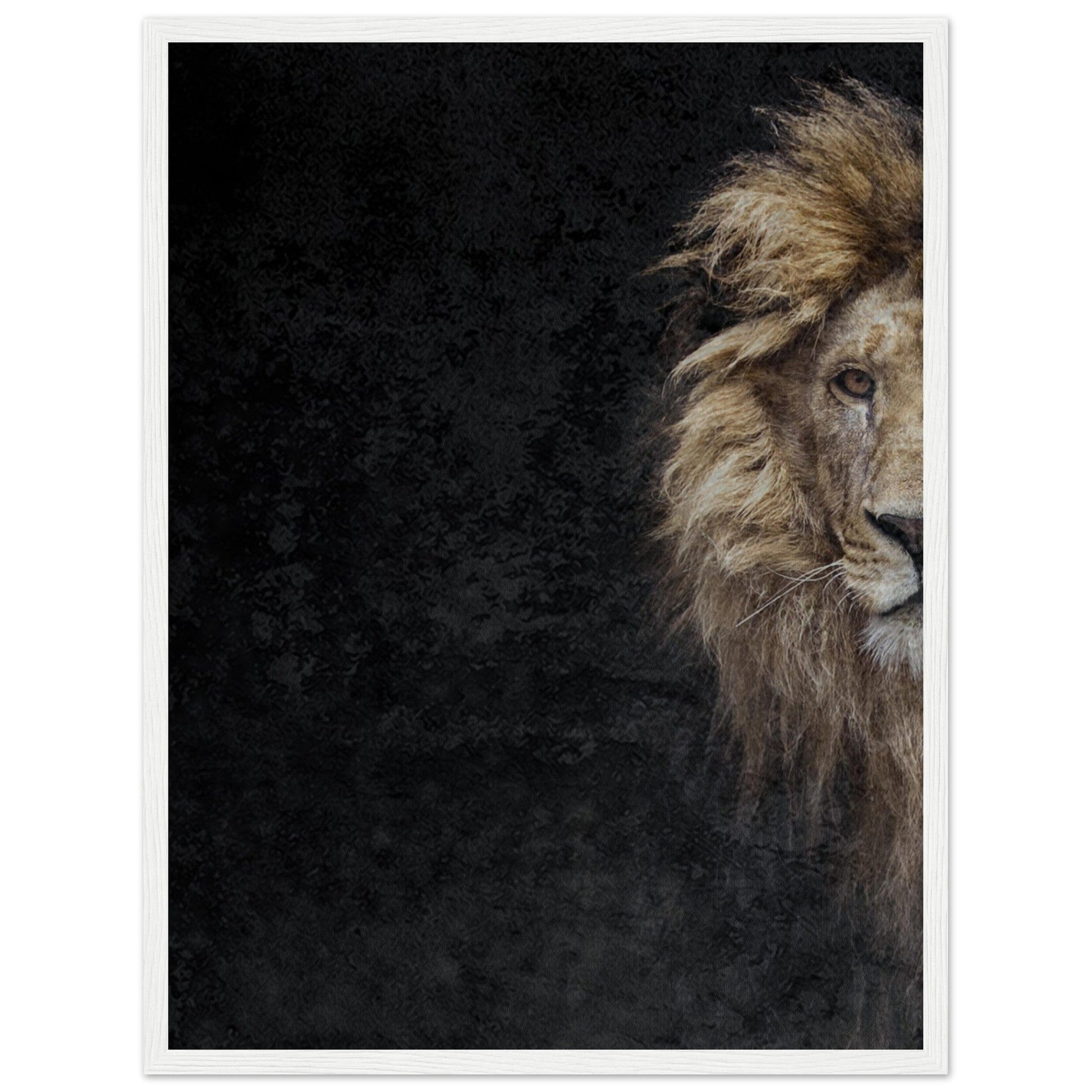 Micoo Art and Decor Posters, Prints and Visual Artworks 45x60 cm / 18x24″ / White frame THE LION OF JUDAH - Framed Poster