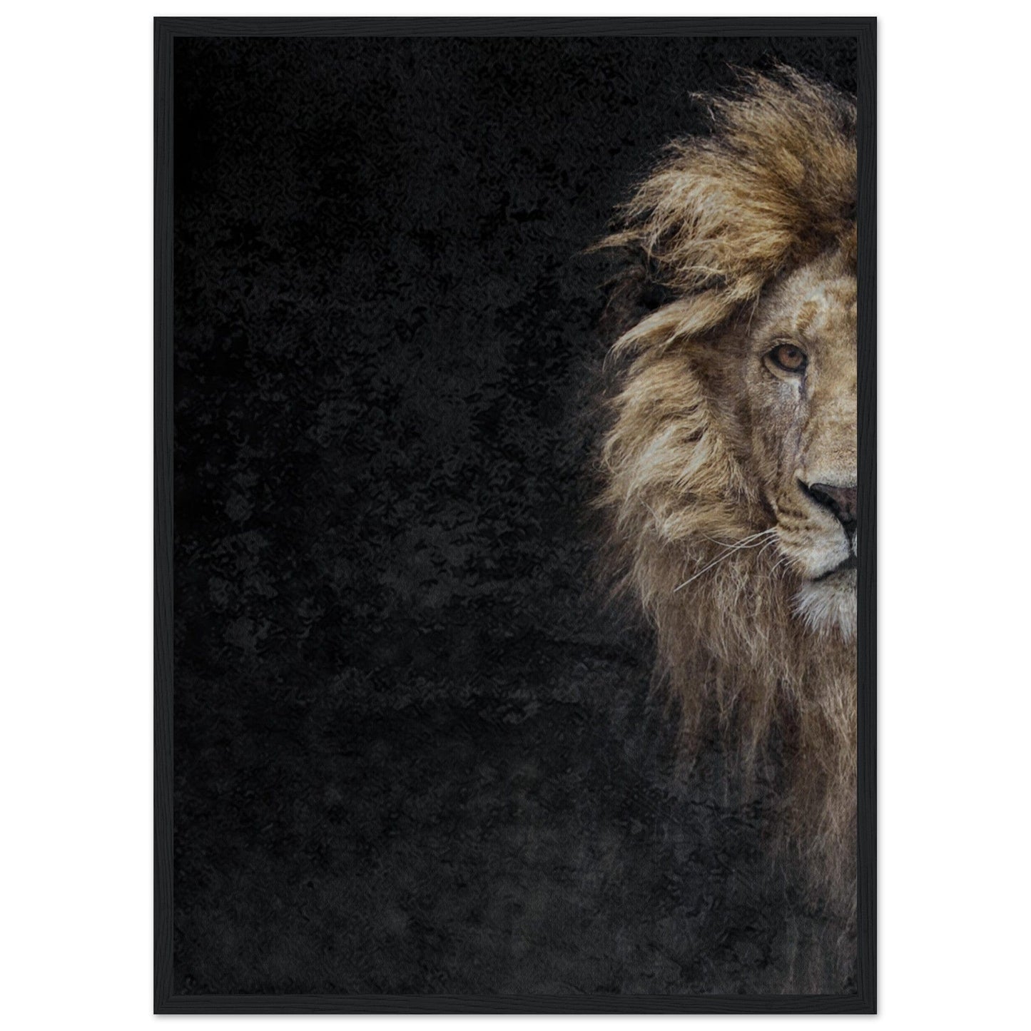 Micoo Art and Decor Posters, Prints and Visual Artworks 50x70 cm / 20x28″ / Black frame THE LION OF JUDAH - Framed Poster