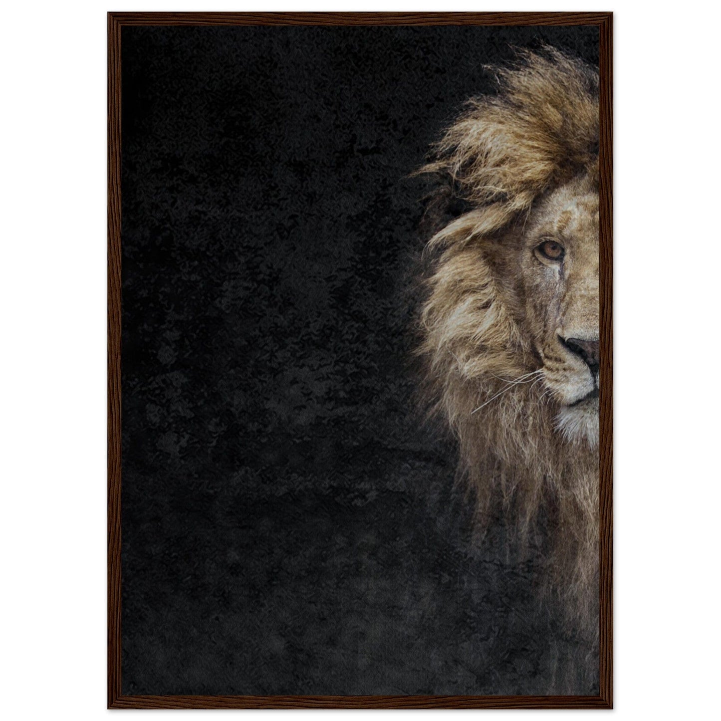 Micoo Art and Decor Posters, Prints and Visual Artworks 50x70 cm / 20x28″ / Dark wood frame THE LION OF JUDAH - Framed Poster