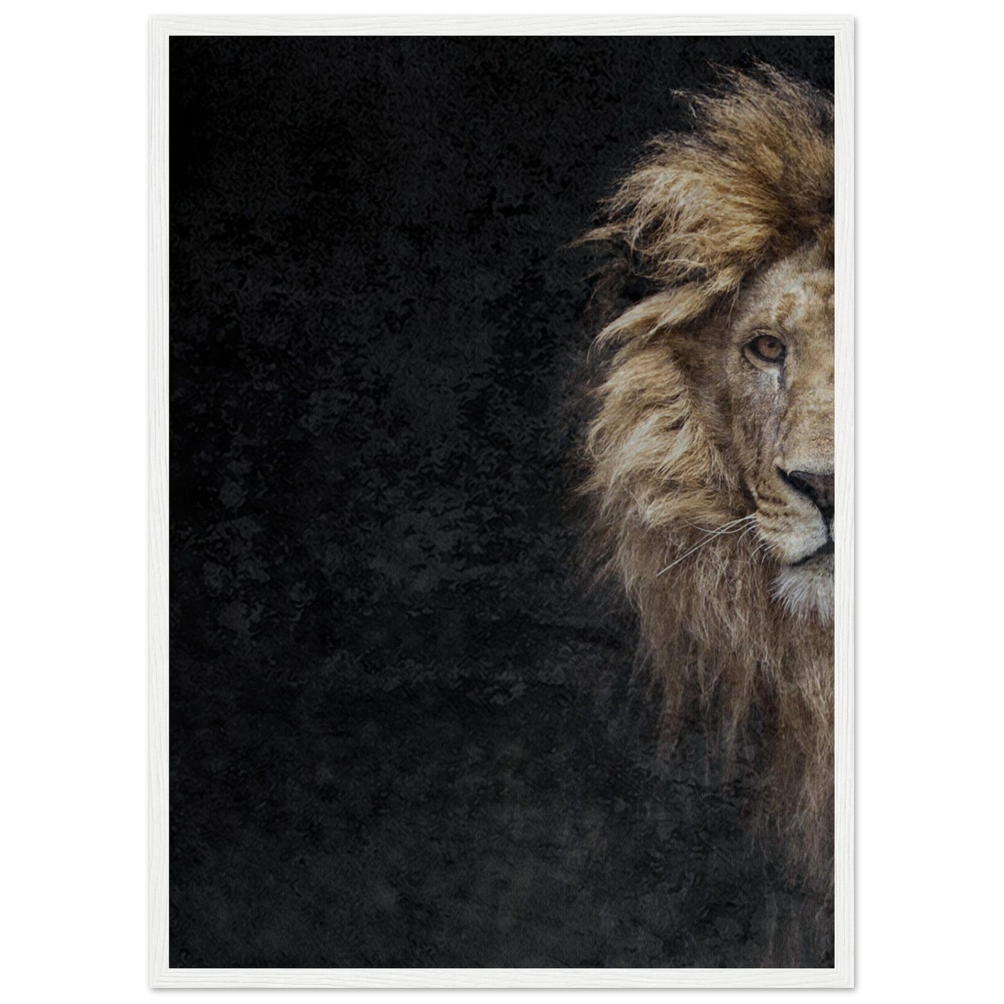 Micoo Art and Decor Posters, Prints and Visual Artworks 50x70 cm / 20x28″ / White frame THE LION OF JUDAH - Framed Poster