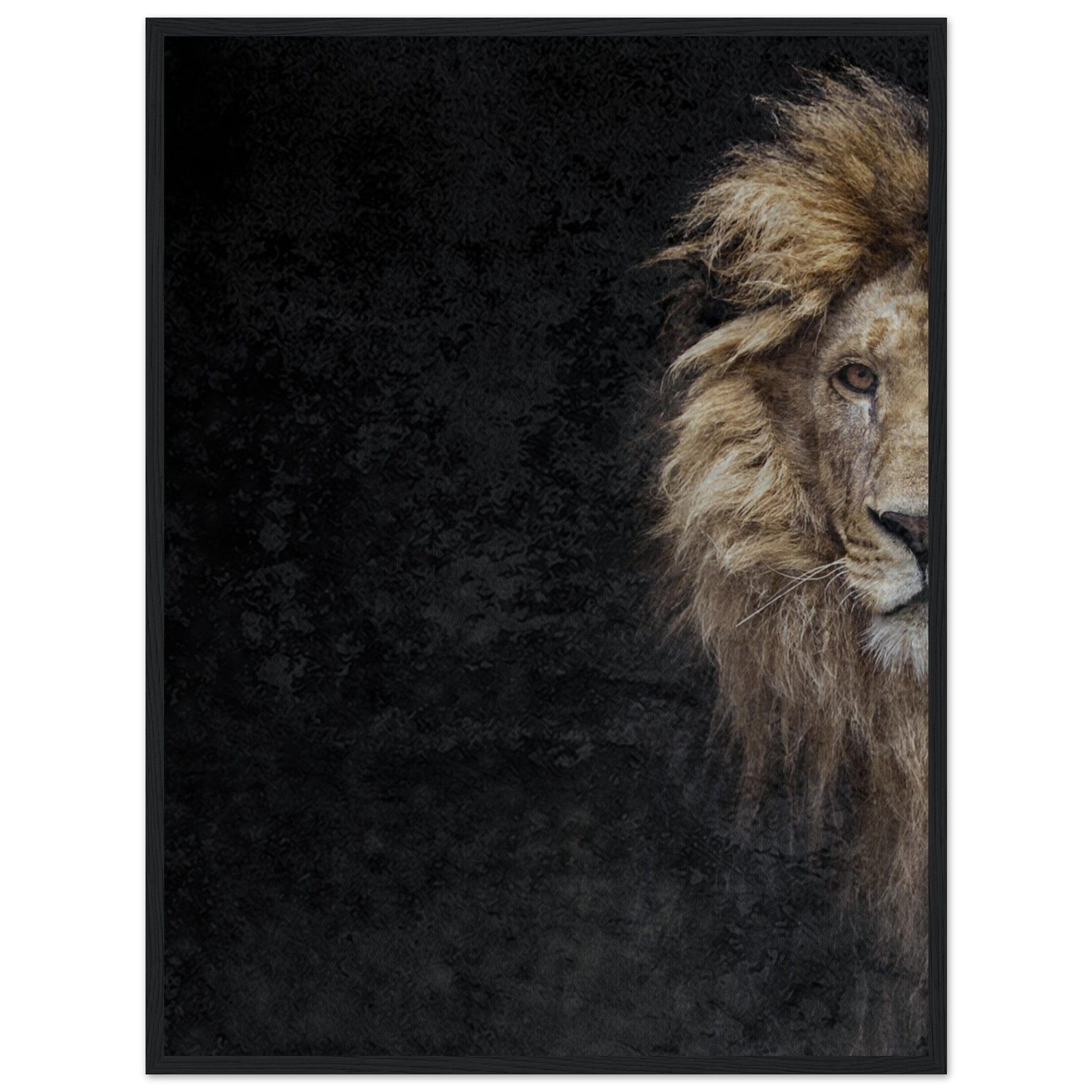 Micoo Art and Decor Posters, Prints and Visual Artworks 60x80 cm / 24x32″ / Black frame THE LION OF JUDAH - Framed Poster