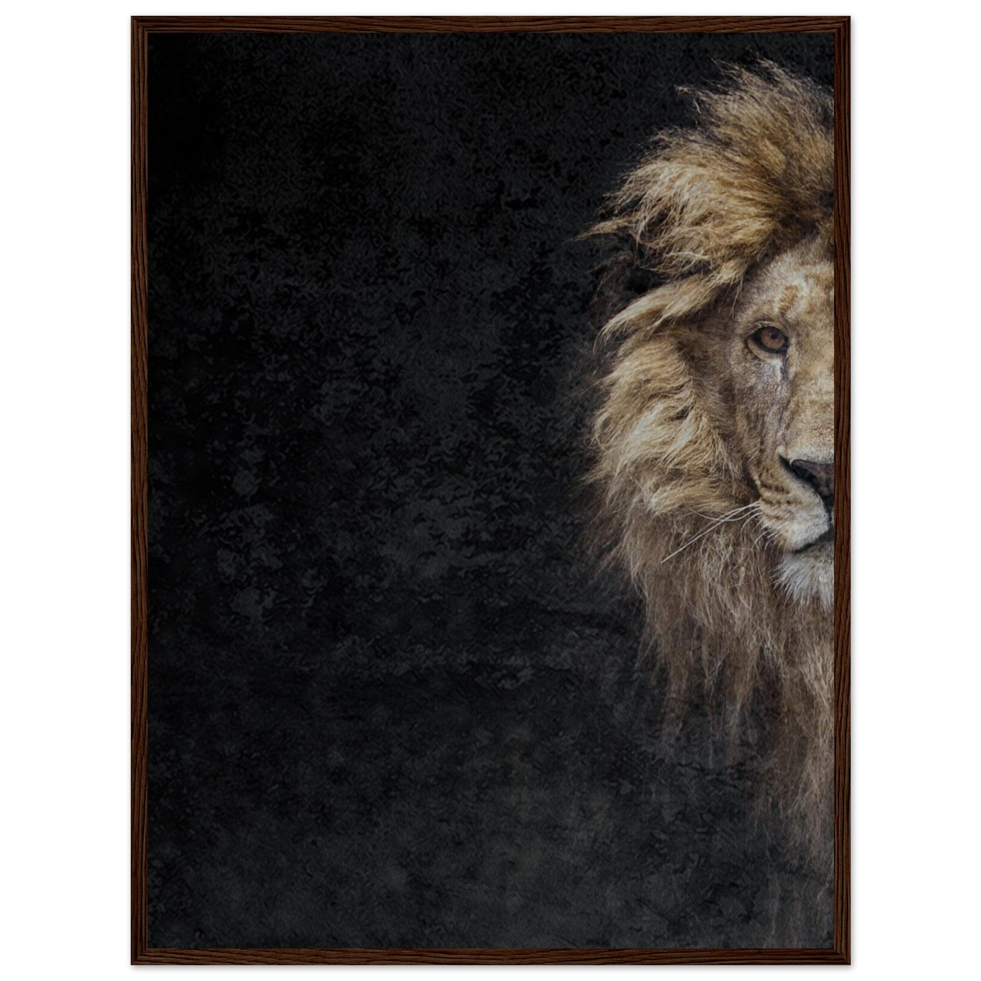 Micoo Art and Decor Posters, Prints and Visual Artworks 60x80 cm / 24x32″ / Dark wood frame THE LION OF JUDAH - Framed Poster