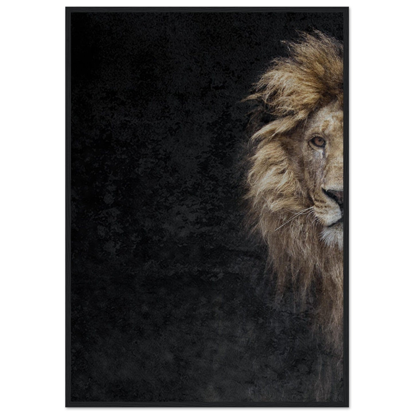 Micoo Art and Decor Posters, Prints and Visual Artworks 70x100 cm / 28x40″ / Black frame THE LION OF JUDAH - Framed Poster