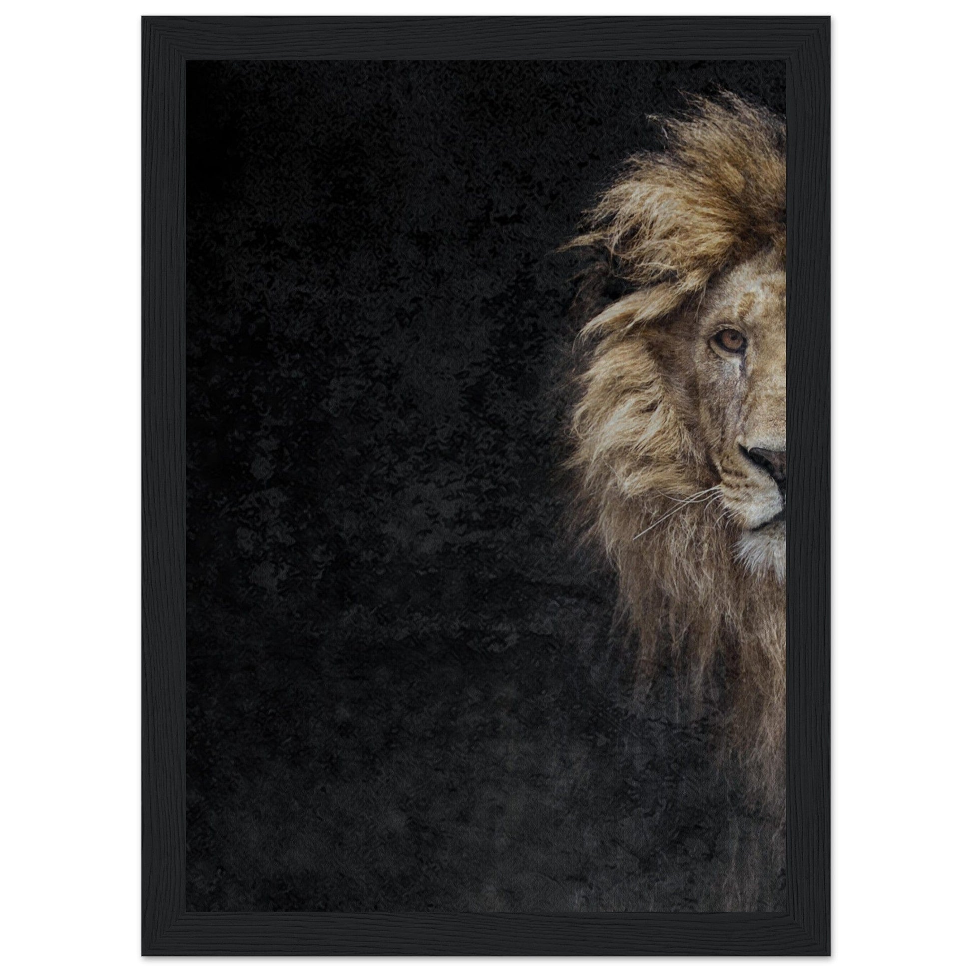 Micoo Art and Decor Posters, Prints and Visual Artworks A4 21x29.7 cm / 8x12″ / Black frame THE LION OF JUDAH - Framed Poster
