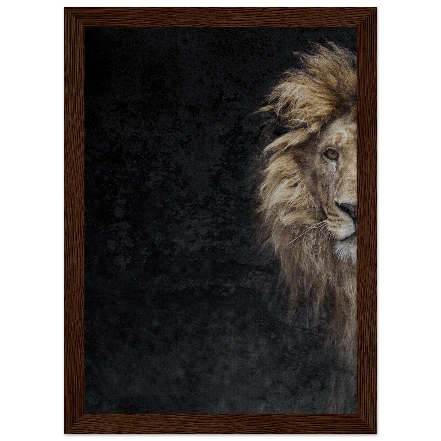 Micoo Art and Decor Posters, Prints and Visual Artworks A4 21x29.7 cm / 8x12″ / Dark wood frame THE LION OF JUDAH - Framed Poster