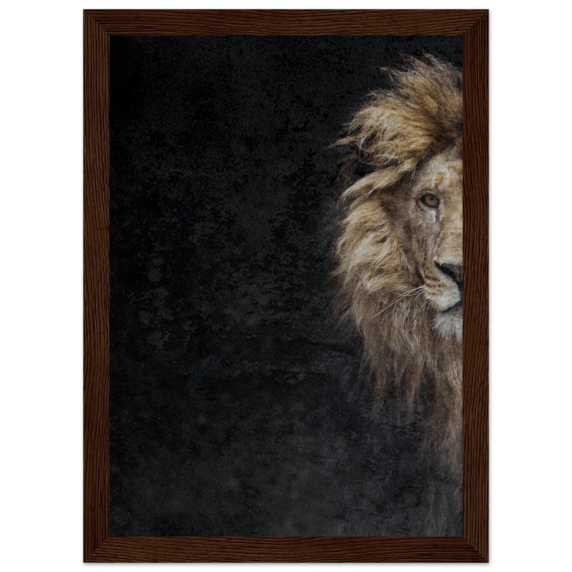 Micoo Art and Decor Posters, Prints and Visual Artworks A4 21x29.7 cm / 8x12″ / Dark wood frame THE LION OF JUDAH - Framed Poster