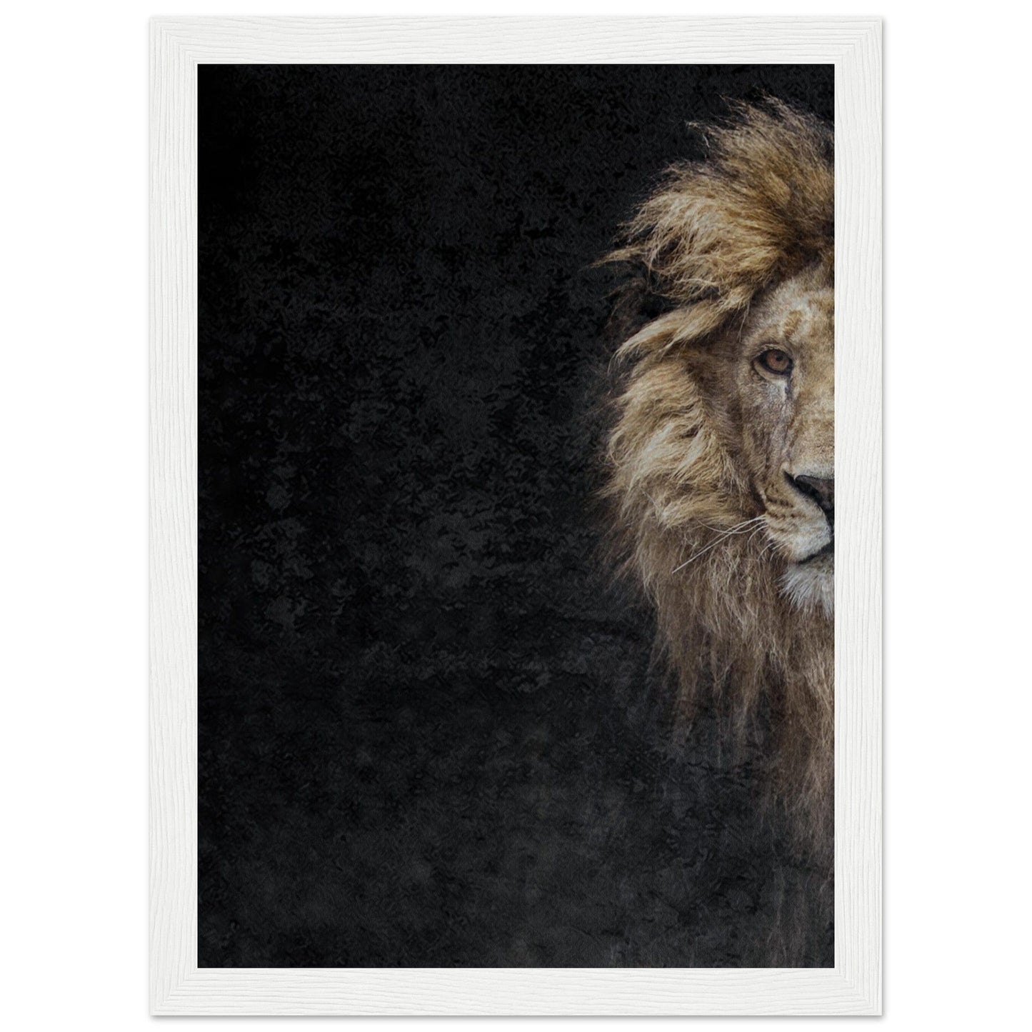 Micoo Art and Decor Posters, Prints and Visual Artworks A4 21x29.7 cm / 8x12″ / White frame THE LION OF JUDAH - Framed Poster