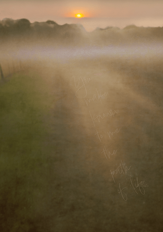 Abstract muted landscape earthy tones path in field sunset and mist in background