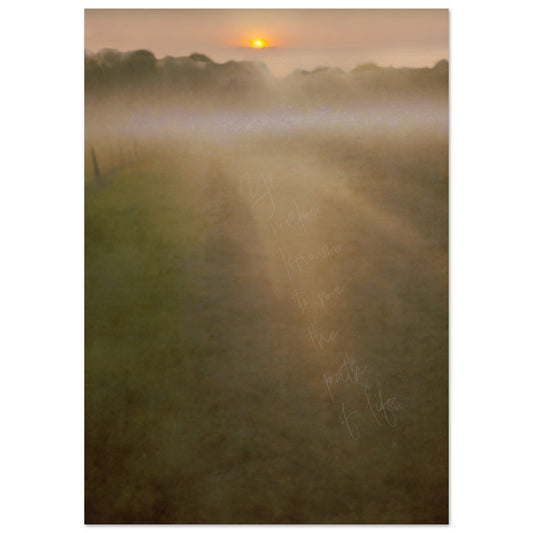 Muted soft earthy landscape of narrow road in a field with rising sun and mist in distance