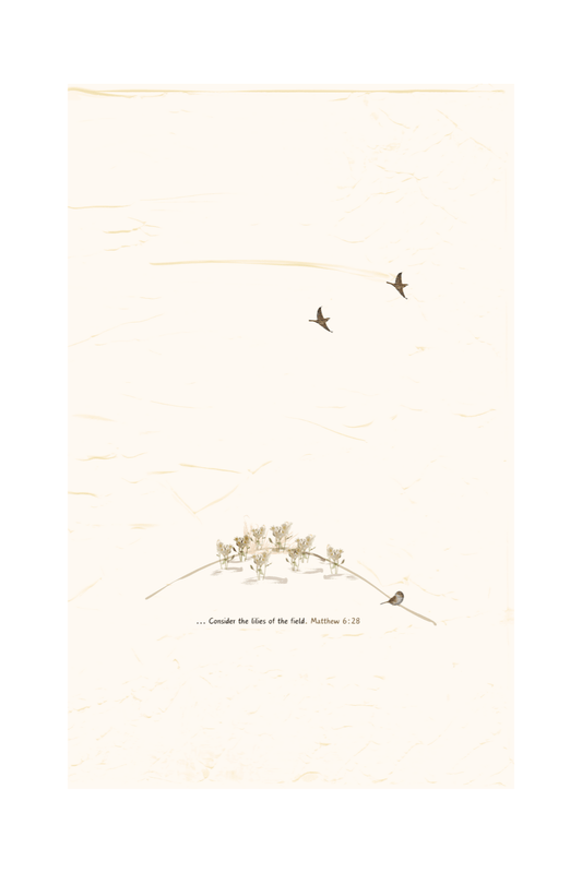 posters set of 3 soft earthy tones small images on textured background around theme of sparrows