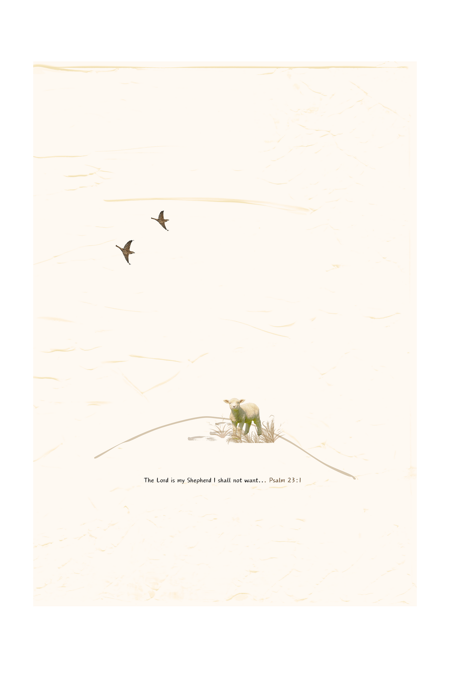 MiCoo Art & Decor Posters, Prints and Visual Artworks THE SPARROW - Collection - Digital Download