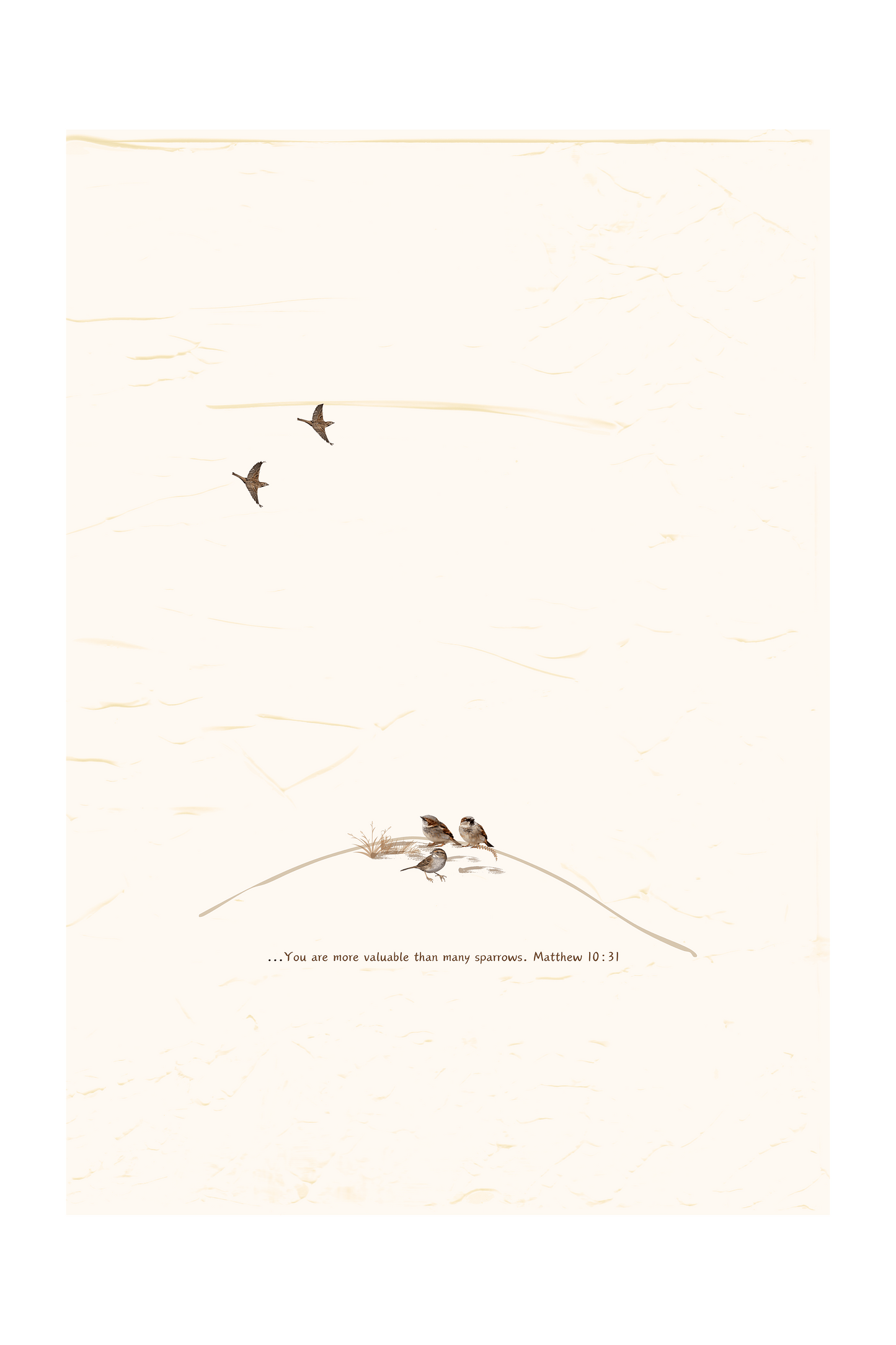 MiCoo Art & Decor Posters, Prints and Visual Artworks THE SPARROW - Collection - Digital Download