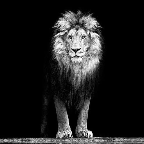 MiCoo Art & Decor Posters, Prints and Visual Artworks WHEN MY HEART BECAME AWARE - Framed Canvas