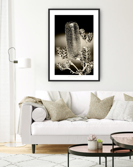 MiCoo Art & Decor Posters, Prints and Visual Artworks WONDER - Floral - Monochrome - Fine Art Framed Print