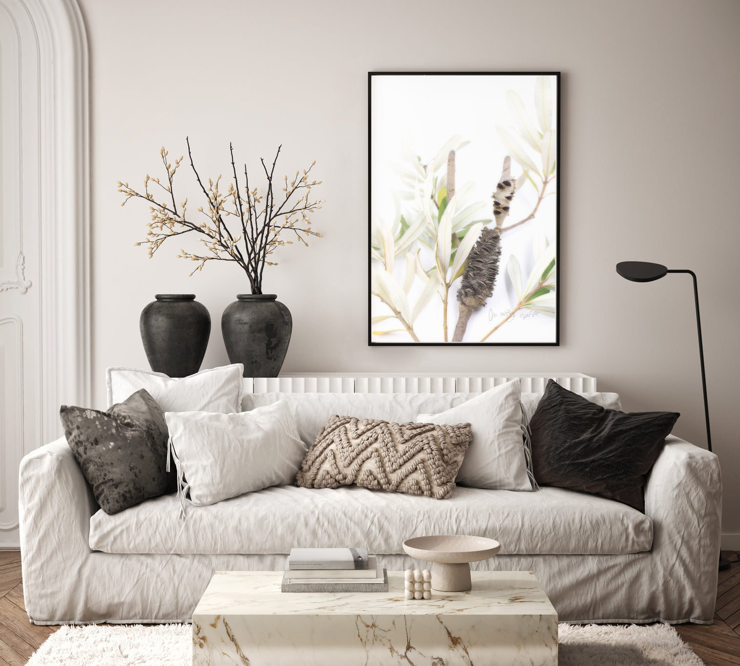 Australian coastal white muted  banksia on white background