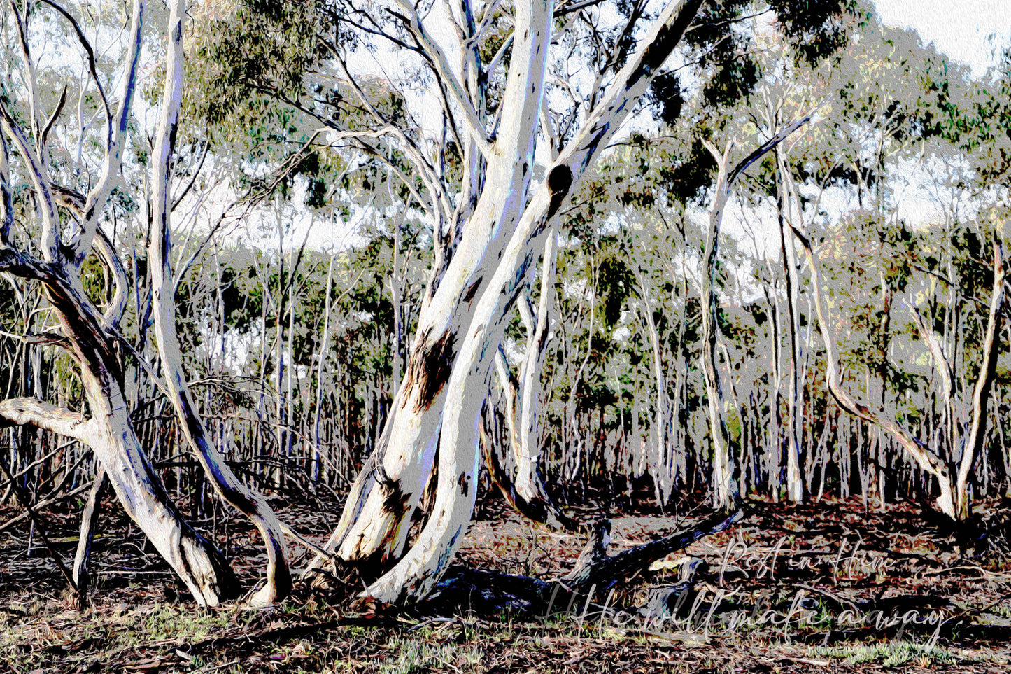 Australian gum tree landscape with a Christian theme 