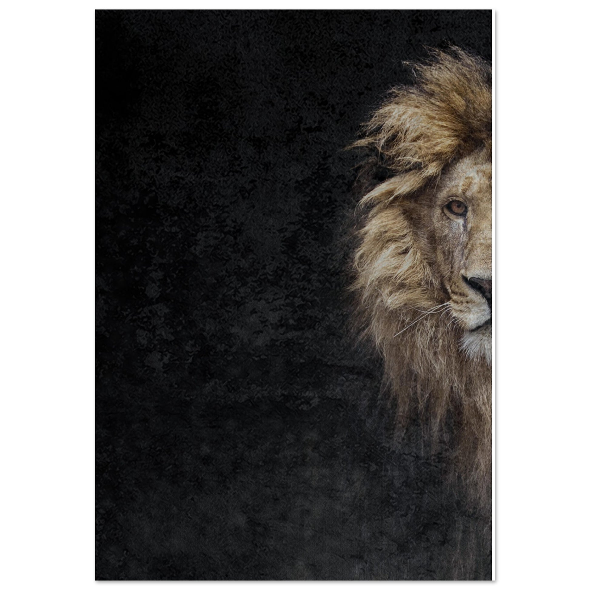 Christian wall art poster of a lion