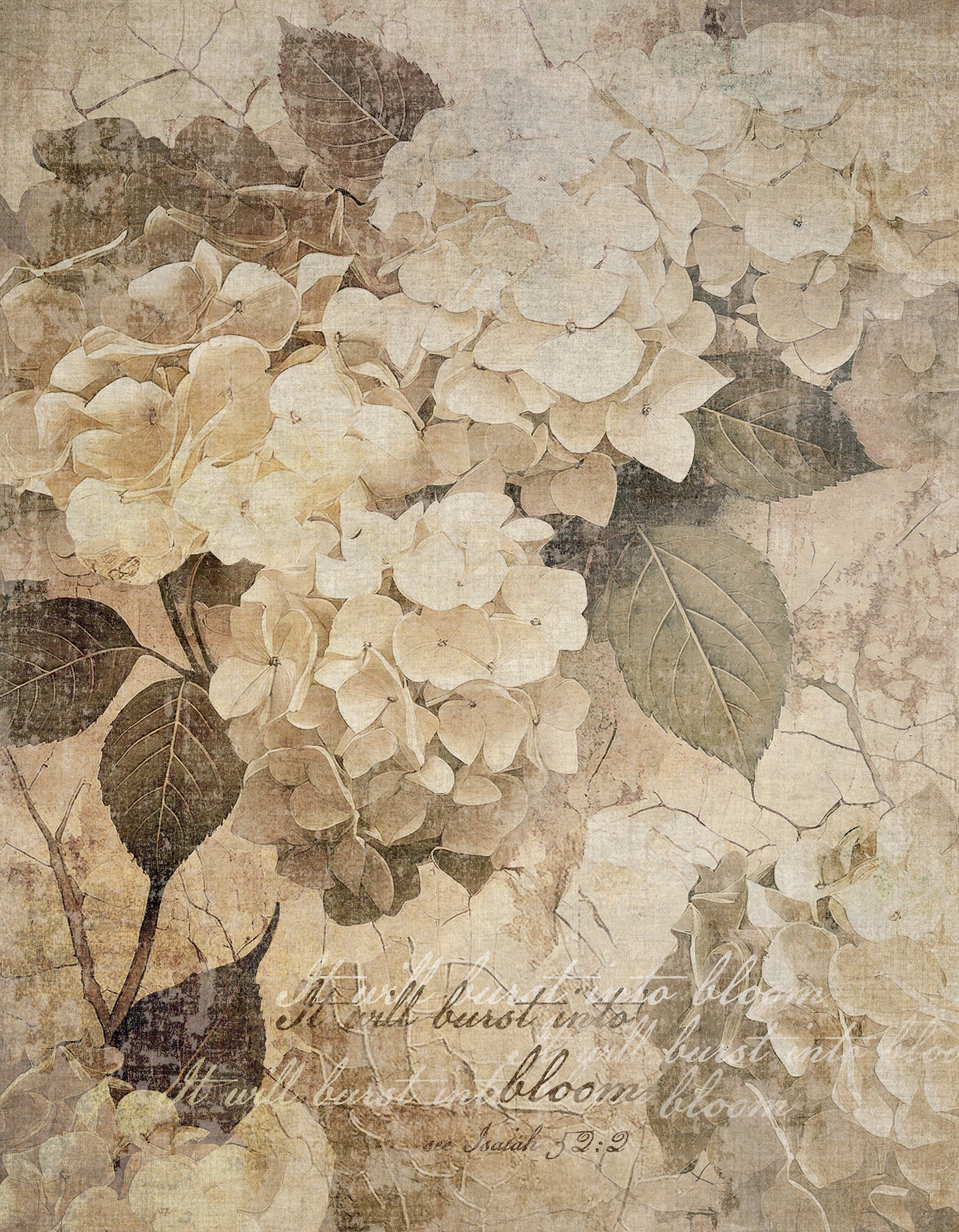 Vinatage earthy  floral design with hydrangeas on a textured beige background with positive words softly scripted onto the print