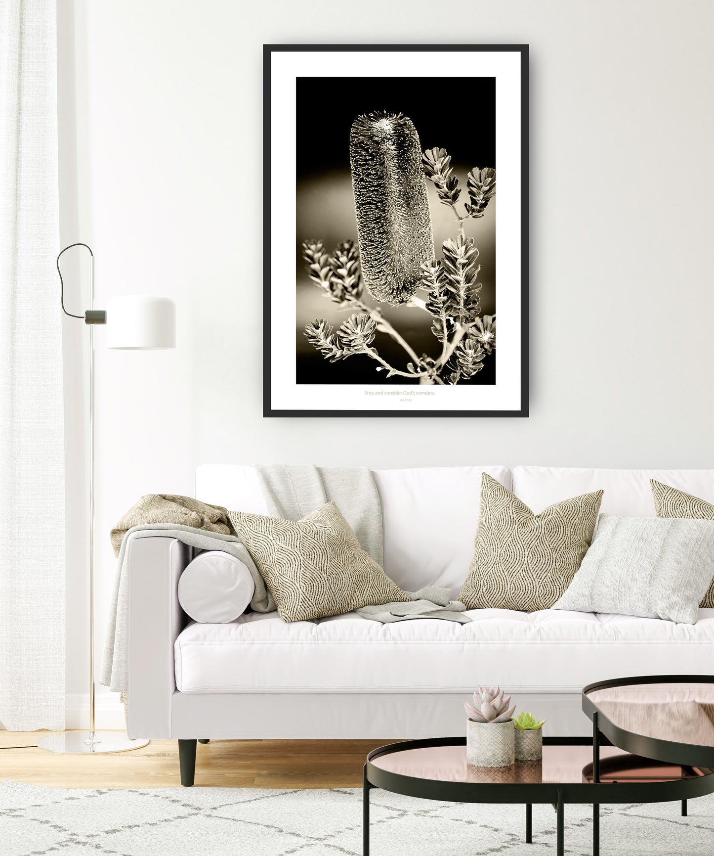 Monochrome Christian art print of the Australian native flower the Banksia 