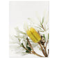 MiCoo Art & Decor Fine Art Print PURPOSE IN THE SEASON - Floral - Fine Art Print